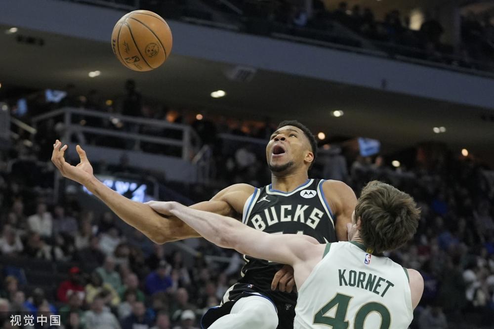 埃基蒂克目 埃基蒂克目